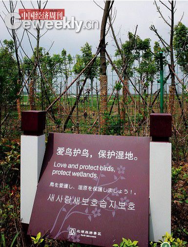 点此在新窗口浏览图片